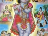 krishna4.jpg