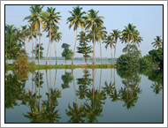backwaters - kerala