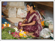 Goa markt