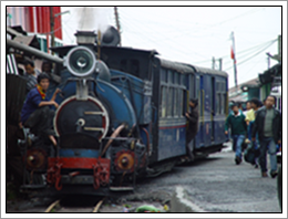 darjeelingspoor