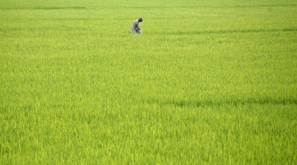 india28_16170025