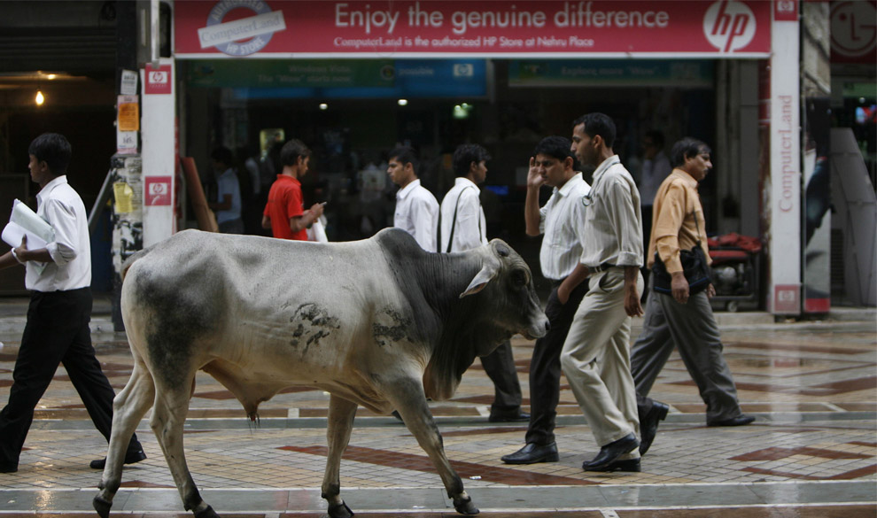 india32_16445037