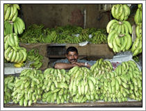 Fruit markt Goa - India